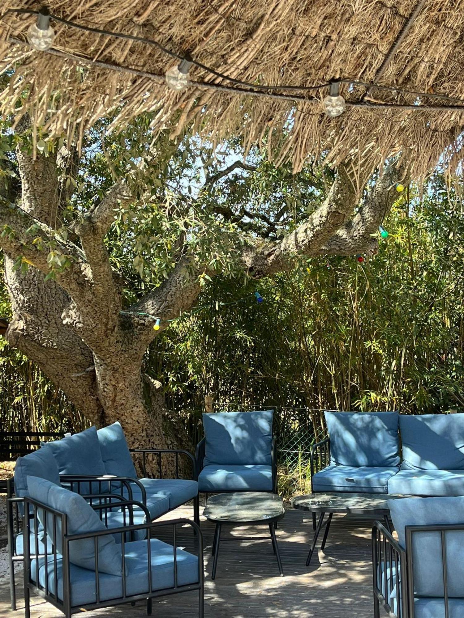 Lou Riou Village Vacances Saint-Tropez Exterior foto